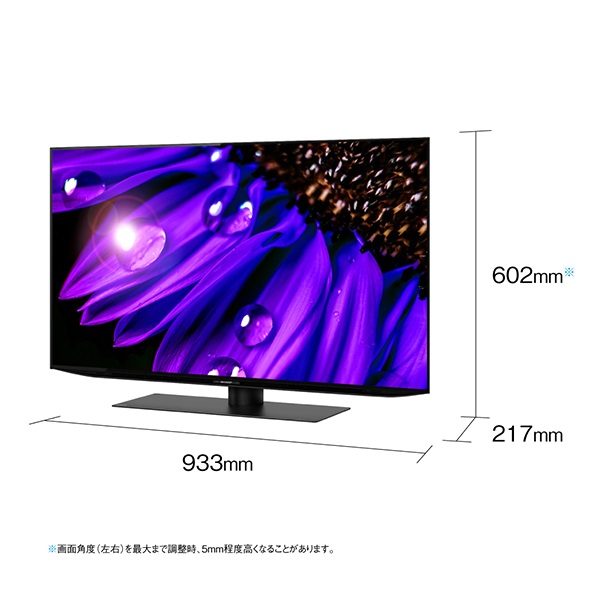 4K有機ELテレビ 42V型 | イオンスタイルオンライン 衣料品・暮らしの品