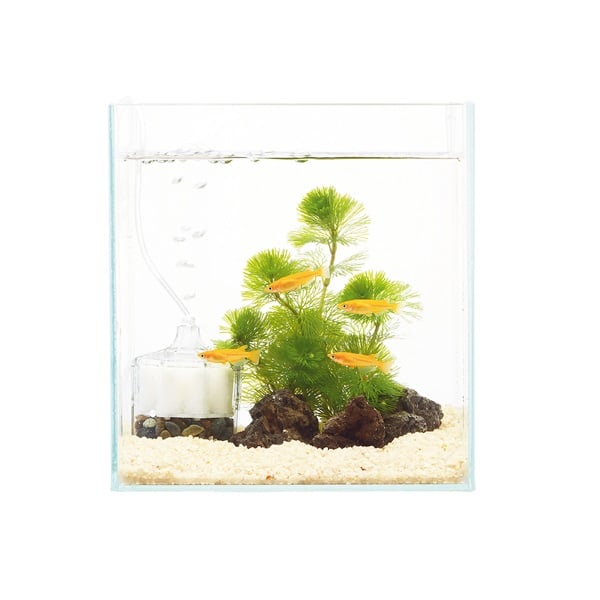 グラスガーデン N160 メダカ飼育セット 1セット Suisaku 水作 | イオン