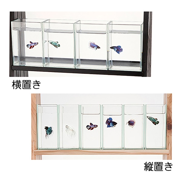 （専用）水作 ショーベタ コレクションケース 水作 ショーベタ コレクションケース 100 | 【公式】イオン九州