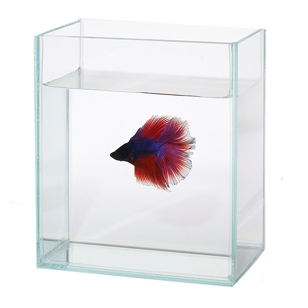 シューベタコレクションケース M Suisaku 水作 | イオンスタイル