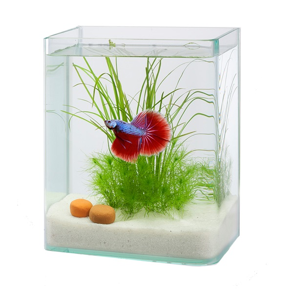 【Nanase】オーボエ　舟形ケーン100枚　プッペ10本セット グラスガーデン R180 ベタ飼育6点セット 1セット Suisaku 水作