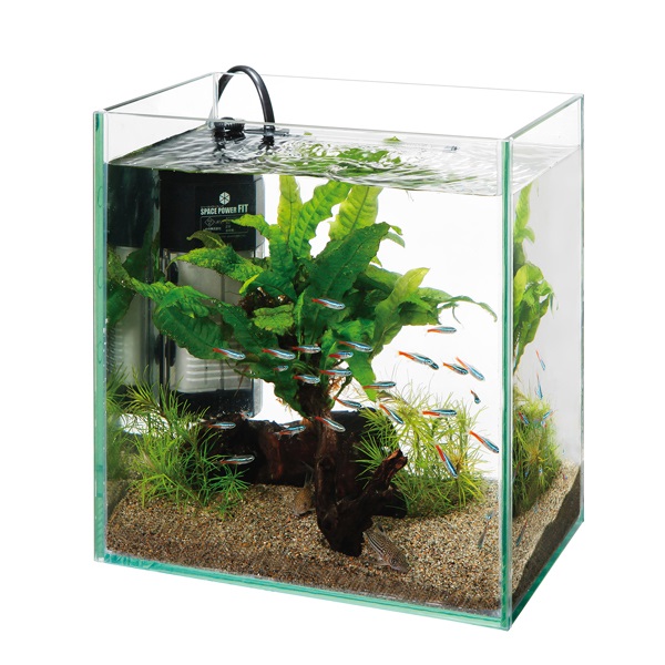 グラスガーデン N230 メダカセット 1セット Suisaku 水作 | イオン