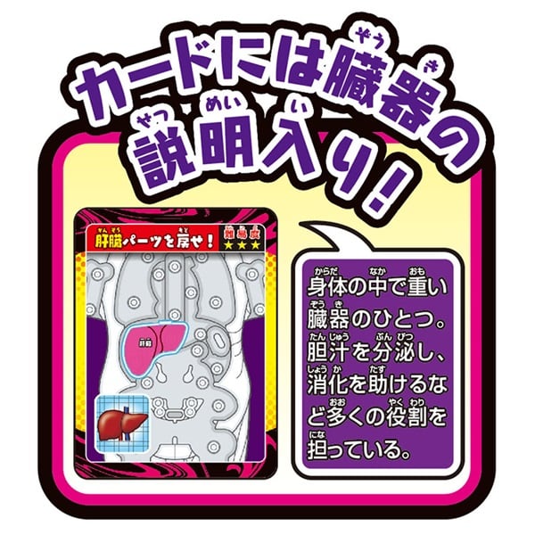ゲーム スーパークラッシュ人体模型 4975430518288 | イオン