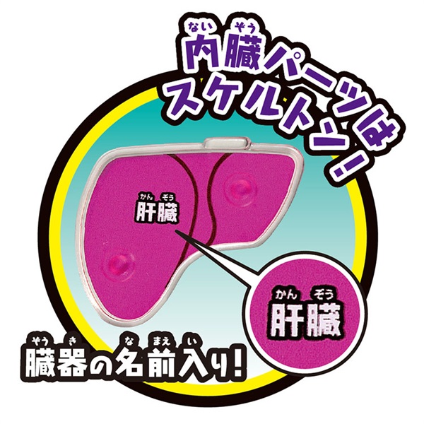 ゲーム スーパークラッシュ人体模型 4975430518288 | イオン