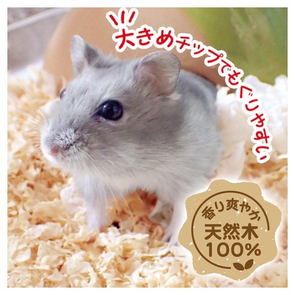 Free やわらかマスコット ペットパラダイス やわらかアイス枕 水色 2025 / PET PARADISE