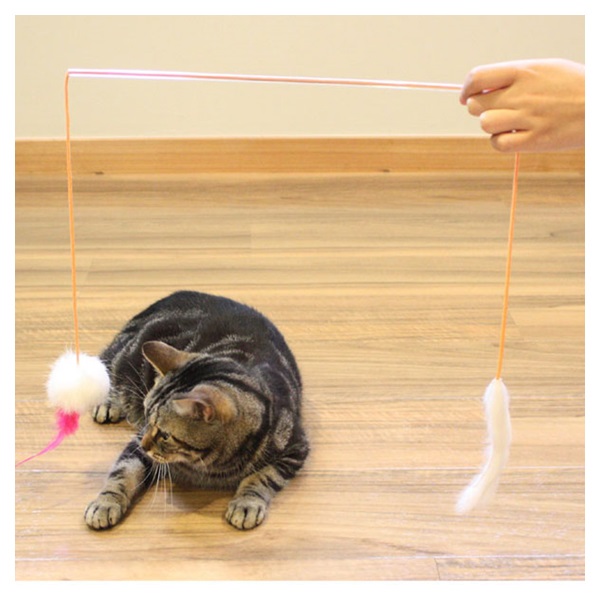 じゃれ猫 ふりふり三まい ワルツ 1個 キャティーマン CattyMan