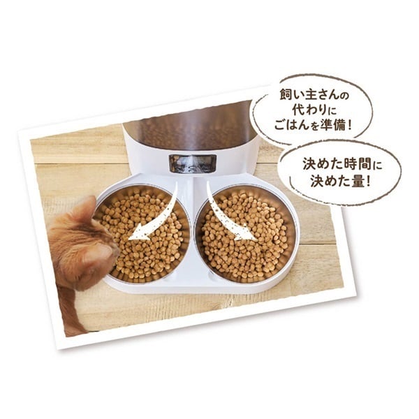 ドギーマンハヤシ なかよく食べる自動給餌食器ツイン 6L