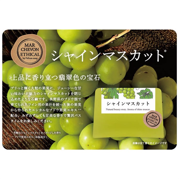 数量限定】MARCHEVON(マルシェボン) エシカルクリアソープ シャイン