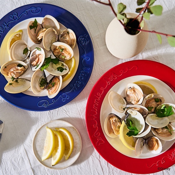 MAYER ボンボヤージュ ASET ディズニー ミッキー ミニー | イオン