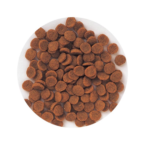 スーパーゴールド フィッシュ＆ポテト 子犬・成犬用 2.4kg Super