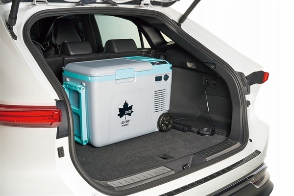 LOGOS エレキャン・温冷/冷凍庫 27-BF ロゴス | イオンスタイル