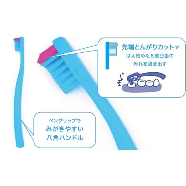 はみがき先生 キッズ 6歳臼歯が磨きやすい歯ブラシ | イオン