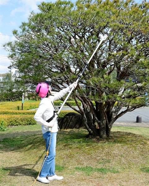 YAMAZEN AC電源 ガーデンポールソー エクステリア/園芸/芝刈り