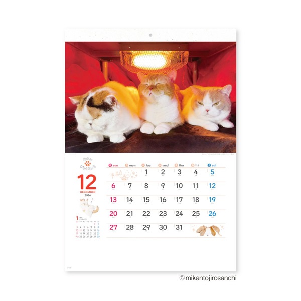 2026年】 壁掛けカレンダー ねこと生活 みかんとじろうさんち