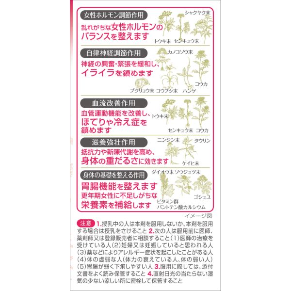 母性看護　レポート 母性看護学レベルアップテスト50 (看護学生のための5分間テスト