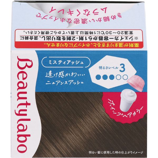 ビューティラボ ホイップヘアカラー ミスティアッシュ 125ml