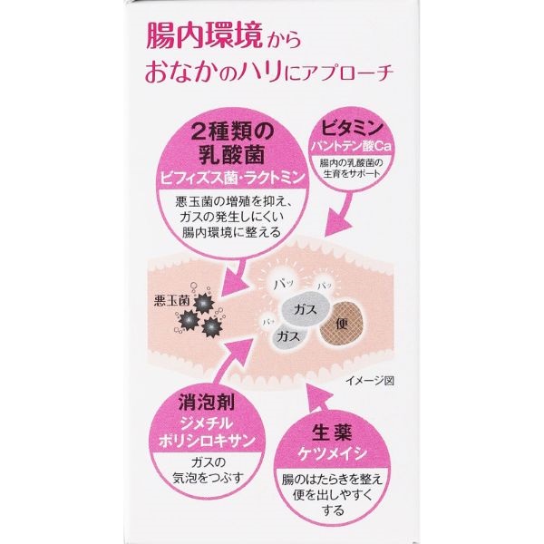 ビオフェルミン ぽっこり整腸チュアブルa 大正製薬 【第3類医薬品