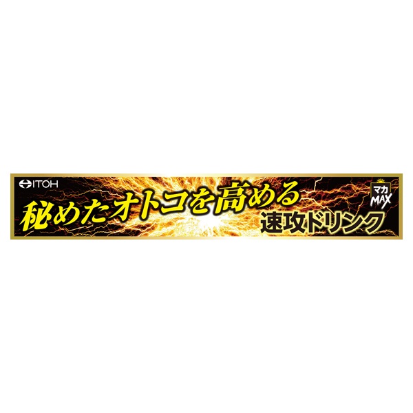 マカ22000 極 TERA MAX 50ml 井藤漢方製薬 | イオンスタイルオンライン