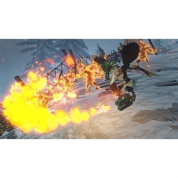 Nintendo Switch 2 ゼルダ無双 封印戦記 お一人さま3点限り