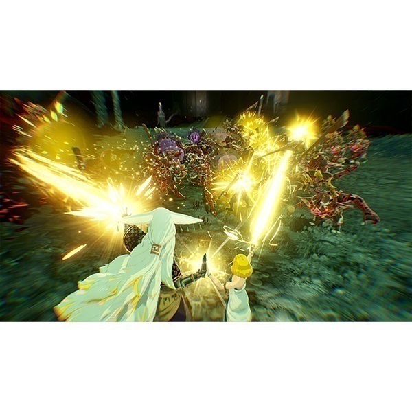 Nintendo Switch 2 ゼルダ無双 封印戦記 お一人さま3点限り