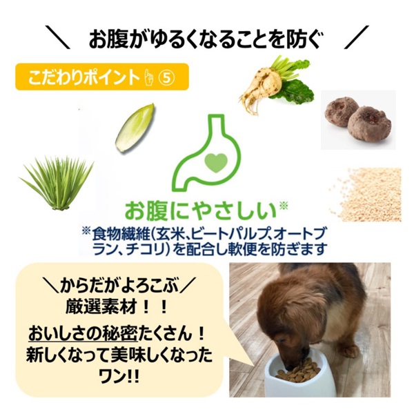 ファーストチョイス ChoiceS ダイエットしたい子に 高齢犬7歳以上 2.2