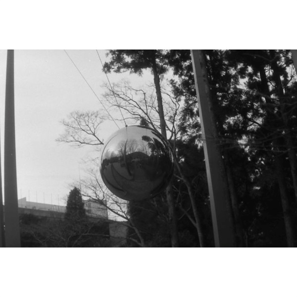 モノクロフィルム36枚 イオンスタイルオンライン 衣料品・暮らしの品をネットでお買物