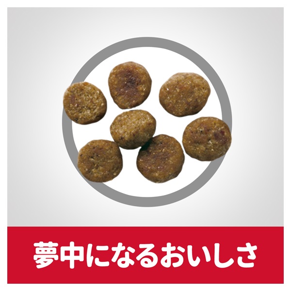 Hill's Science Diet シニア 13歳以上 小粒 チキン2袋 ヒルズ サイエンス・ダイエット シニア 13歳以上 小粒 高齢犬用 チキン