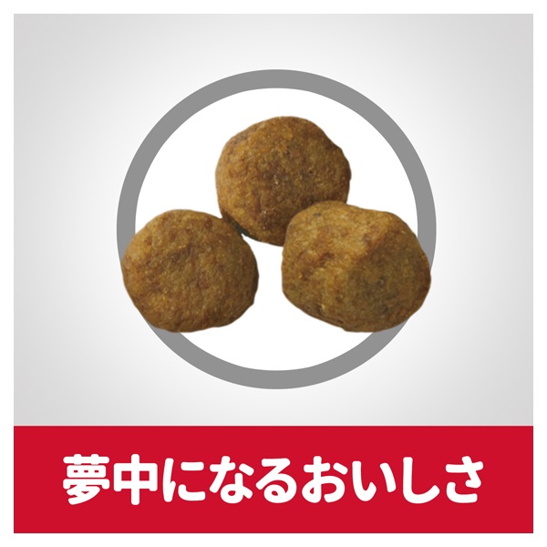 Hill's Science Diet シニア6.5kg ドッグフード ヒルズ サイエンスダイエット ドッグフード シニア 7歳以上 中粒 チキン