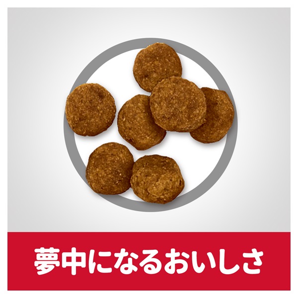 ヒルズ サイエンス・ダイエット アダルト 1～6歳 小粒 成犬用