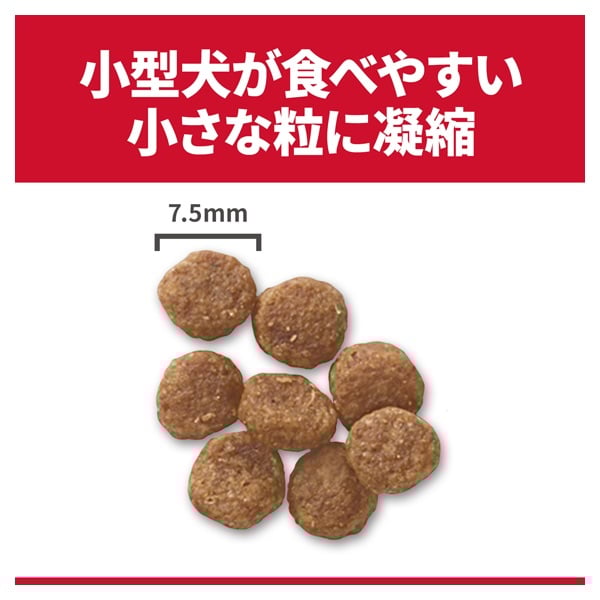 ヒルズ サイエンス・ダイエット 小型犬用 アダルト 1～6歳 成犬用 ラム