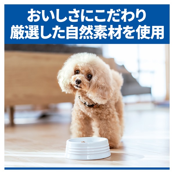 ヒルズ サイエンス・ダイエット 室内小型犬 避妊・去勢後 1歳以上 成犬