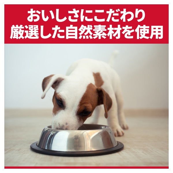 Hill's Science Diet　犬 ヒルズ　13歳以上、その他 ヒルズ サイエンス・ダイエット 小型犬用 シニア 13歳以上 高齢犬用